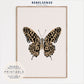 Leopard Butterfly Print