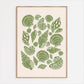 Seashells Linocut Style Print