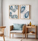 Blue Oyster Seashell Print Set