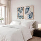 Blue Oyster Seashell Print Set