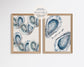 Blue Oyster Seashell Print Set